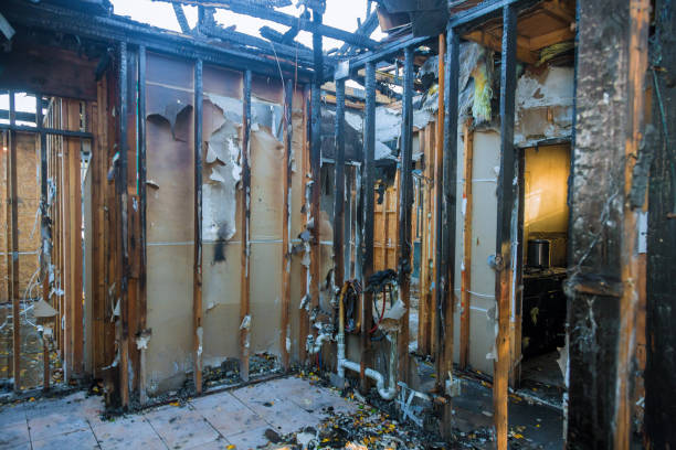 Professional Fire Damage Cleanup technician working in Cedar Park, TX